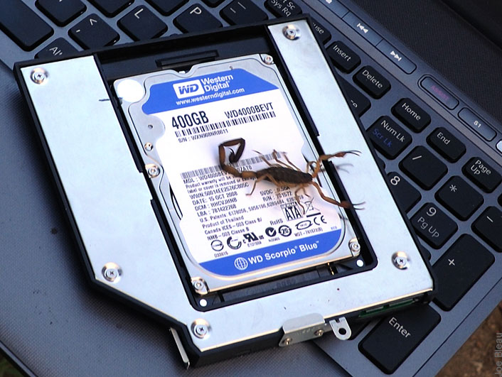 HDD Caddy for ODD Bay VAIO F Series